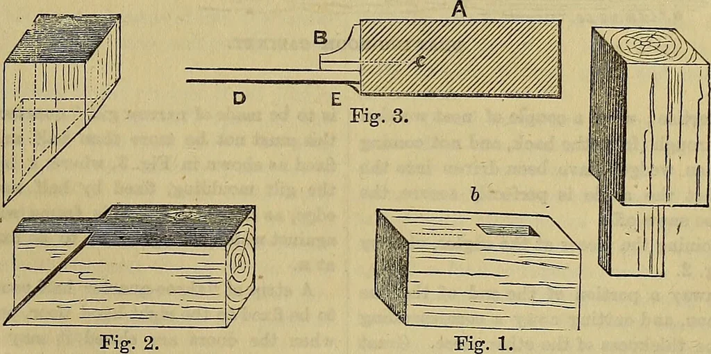 An illustration from The Popular recreator. A key to in-door and out-door amusements .., 1873, leaf 556