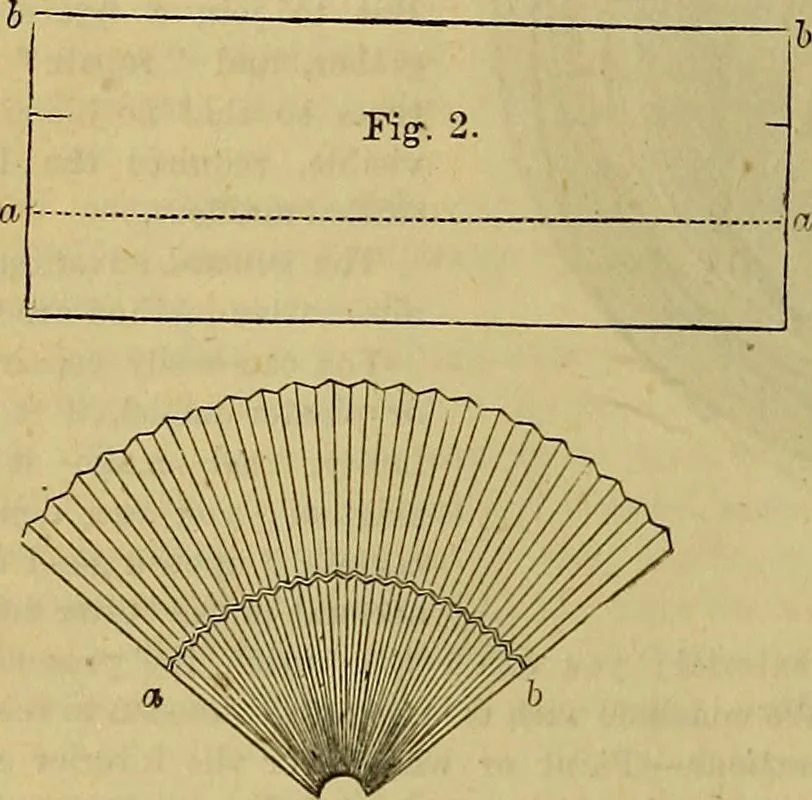 An illustration from The Popular recreator. A key to in-door and out-door amusements .., 1873, leaf 577