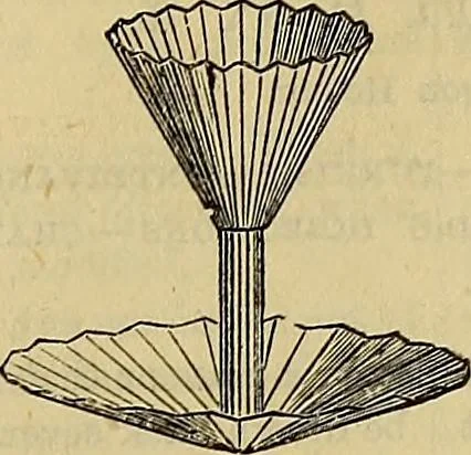 An illustration from The Popular recreator. A key to in-door and out-door amusements .., 1873, leaf 578