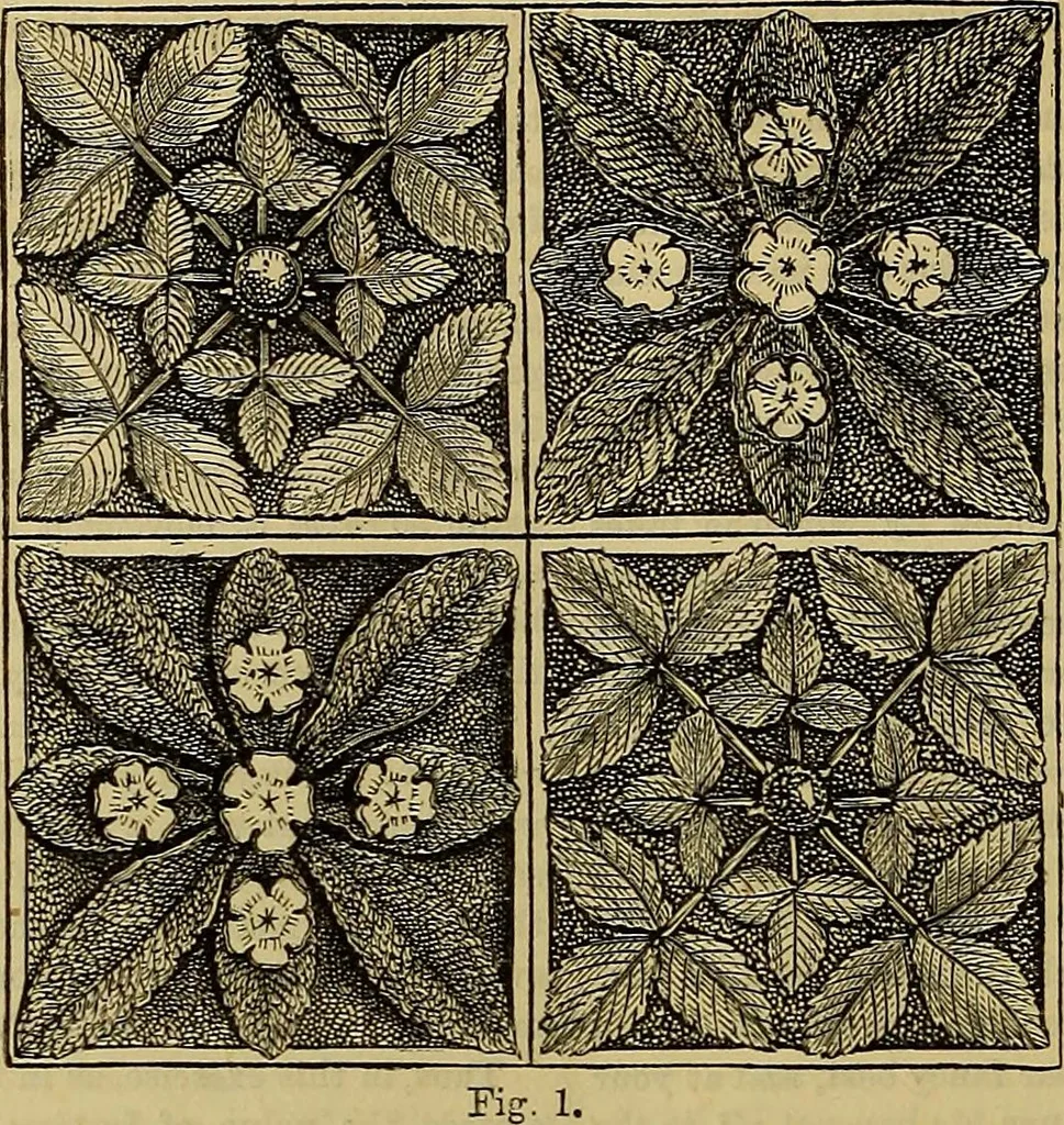An illustration from The Popular recreator. A key to in-door and out-door amusements .., 1873, leaf 585