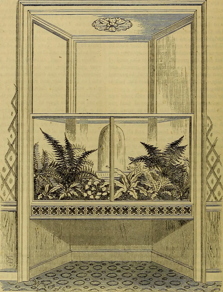 An illustration from The Popular recreator. A key to in-door and out-door amusements .., 1873, leaf 589