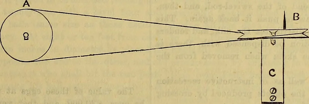An illustration from The Popular recreator. A key to in-door and out-door amusements .., 1873, leaf 594