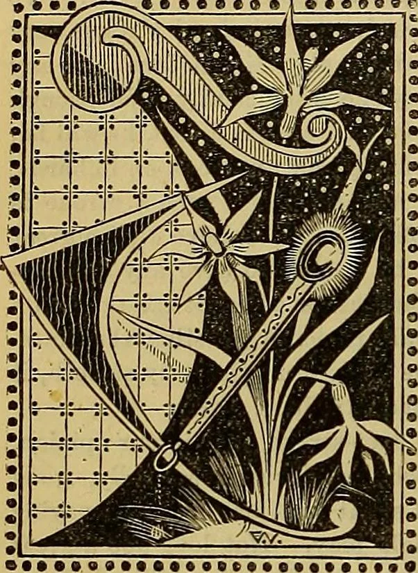 An illustration from The Popular recreator. A key to in-door and out-door amusements .., 1873, leaf 601