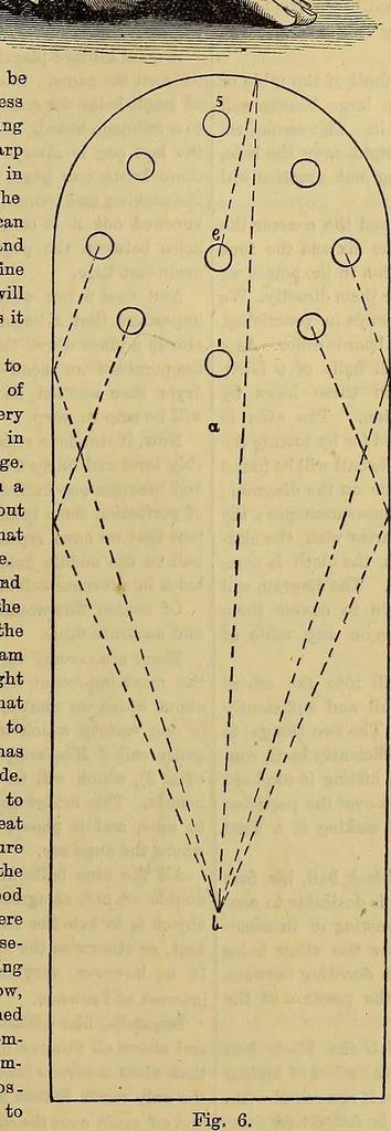 An illustration from The Popular recreator. A key to in-door and out-door amusements .., 1873, leaf 618