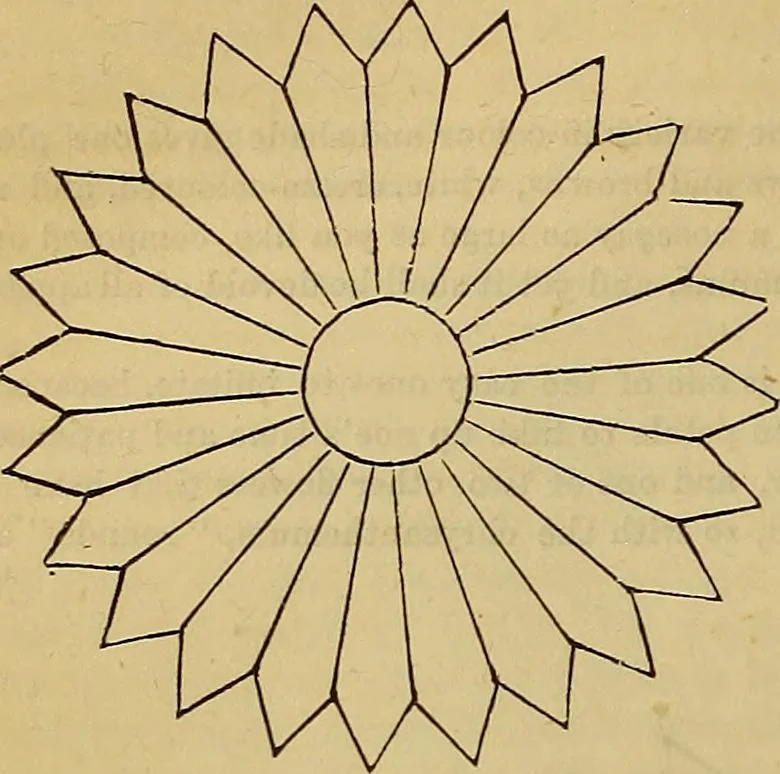 An illustration from The Popular recreator. A key to in-door and out-door amusements .., 1873, leaf 621