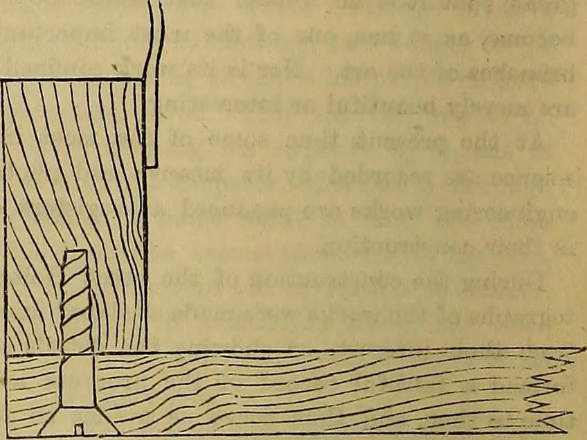 An illustration from The Popular recreator. A key to in-door and out-door amusements .., 1873, leaf 625