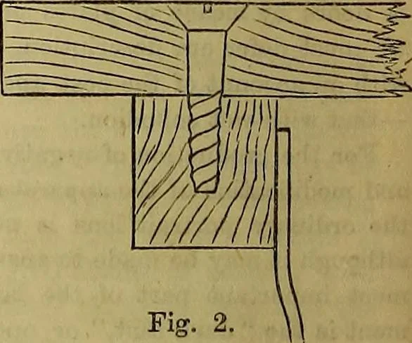 An illustration from The Popular recreator. A key to in-door and out-door amusements .., 1873, leaf 625