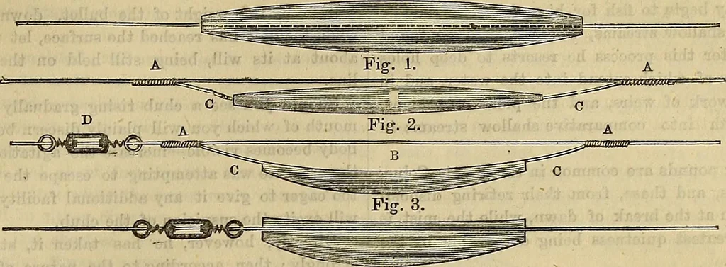 An illustration from The Popular recreator. A key to in-door and out-door amusements .., 1873, leaf 640