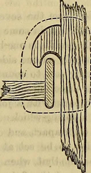 An illustration from The Popular recreator. A key to in-door and out-door amusements .., 1873, leaf 642