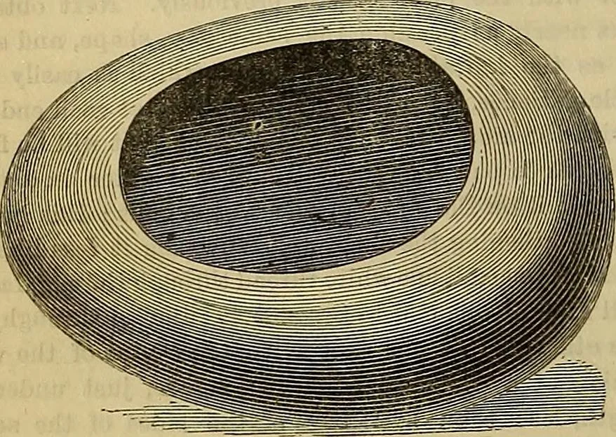 An illustration from The Popular recreator. A key to in-door and out-door amusements .., 1873, leaf 645