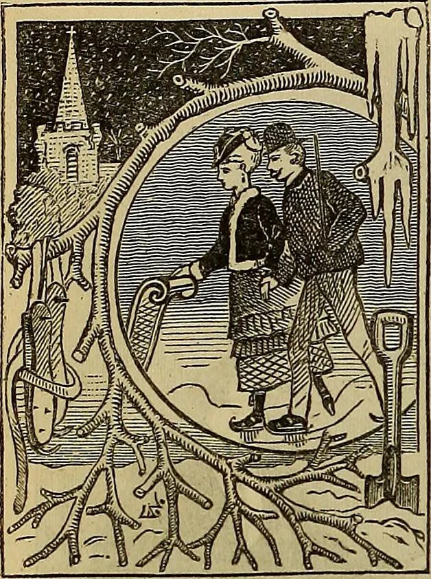 An illustration from The Popular recreator. A key to in-door and out-door amusements .., 1873, leaf 647
