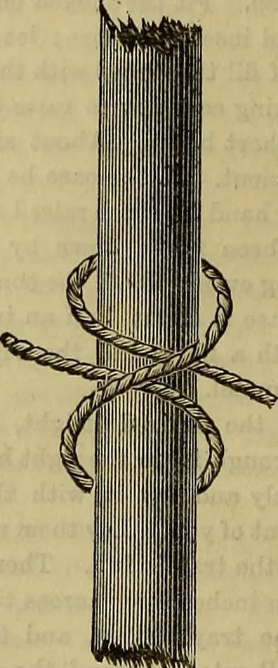 An illustration from The Popular recreator. A key to in-door and out-door amusements .., 1873, leaf 653
