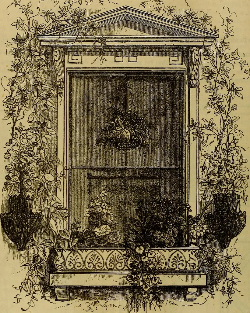 An illustration from The Popular recreator. A key to in-door and out-door amusements .., 1873, leaf 69