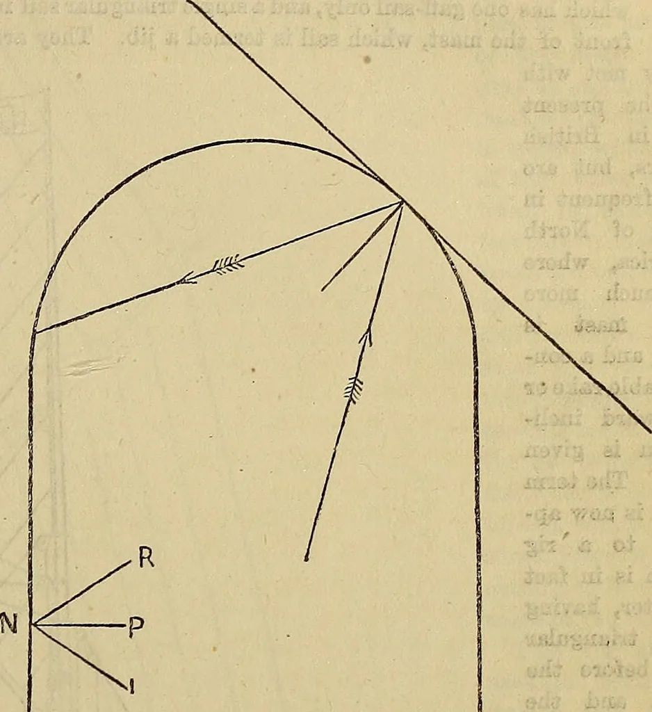 An illustration from The Popular recreator. A key to in-door and out-door amusements .., 1873, leaf 696