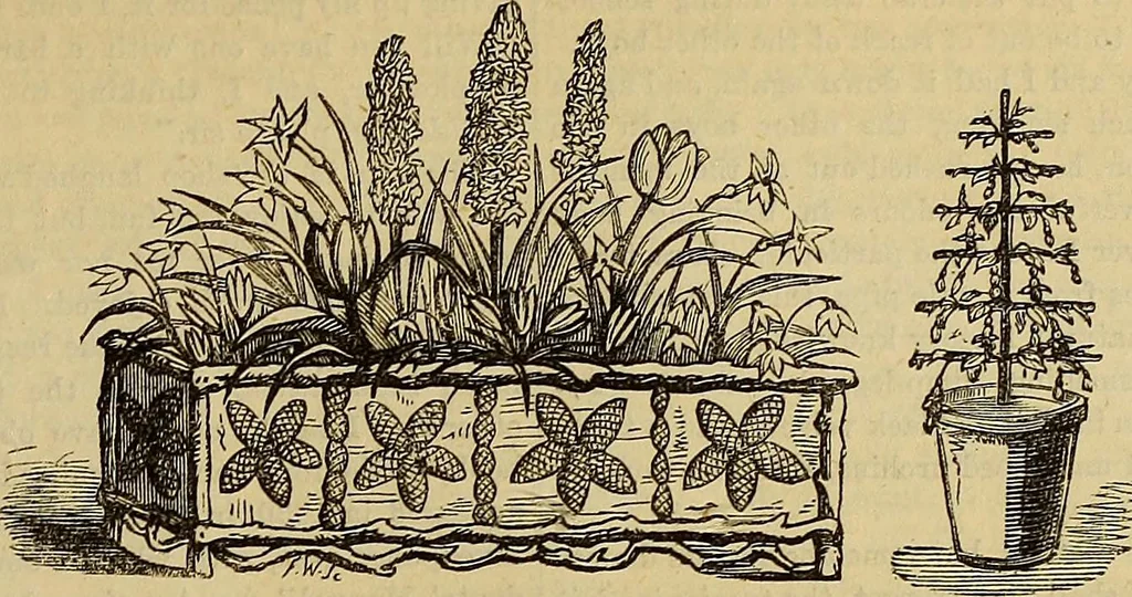 An illustration from The Popular recreator. A key to in-door and out-door amusements .., 1873, leaf 70