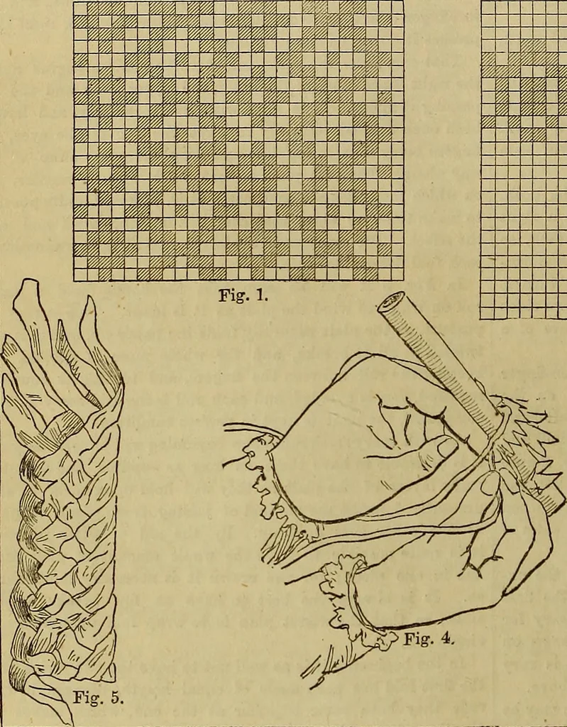 An illustration from The Popular recreator. A key to in-door and out-door amusements .., 1873, leaf 701