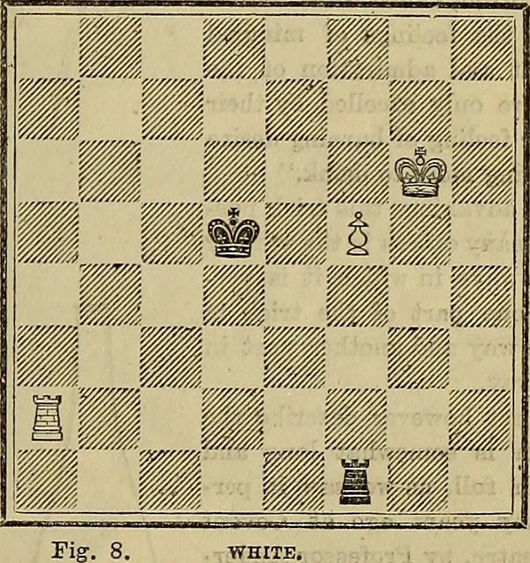 An illustration from The Popular recreator. A key to in-door and out-door amusements .., 1873, leaf 708