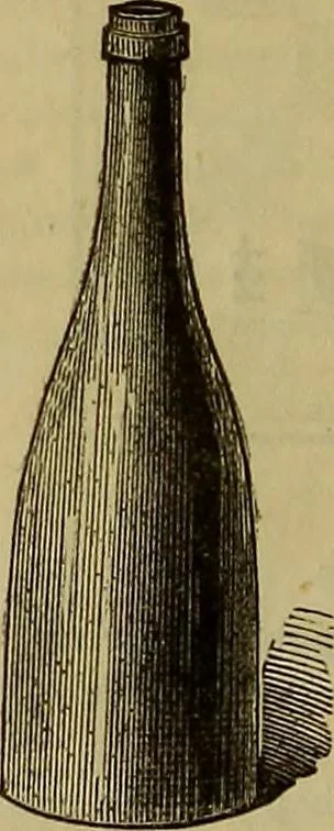 An illustration from The Popular recreator. A key to in-door and out-door amusements .., 1873, leaf 709