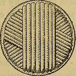 An illustration from The Popular recreator. A key to in-door and out-door amusements .., 1873, leaf 762