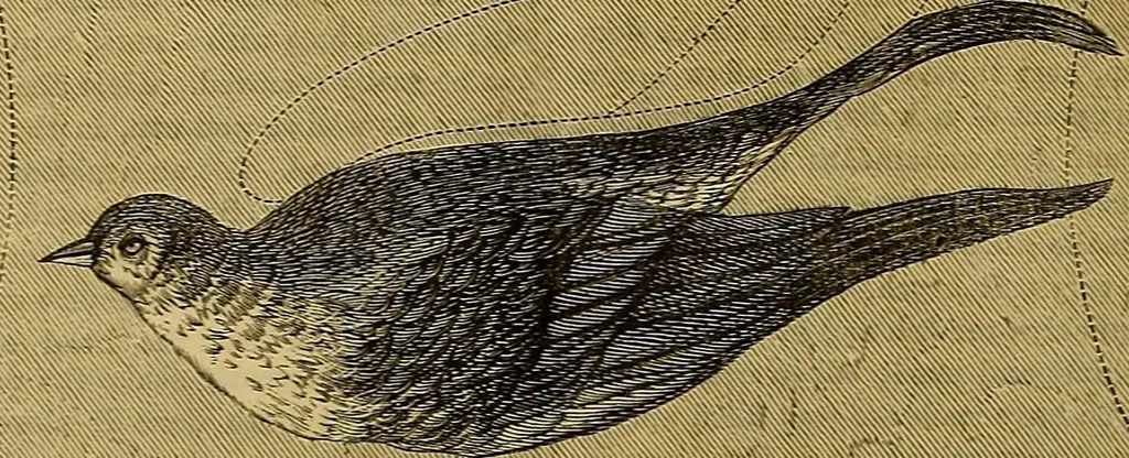 An illustration from The Popular recreator. A key to in-door and out-door amusements .., 1873, leaf 773