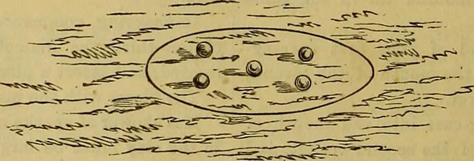 An illustration from The Popular recreator. A key to in-door and out-door amusements .., 1873, leaf 777