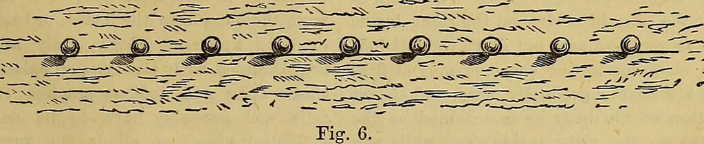 An illustration from The Popular recreator. A key to in-door and out-door amusements .., 1873, leaf 778