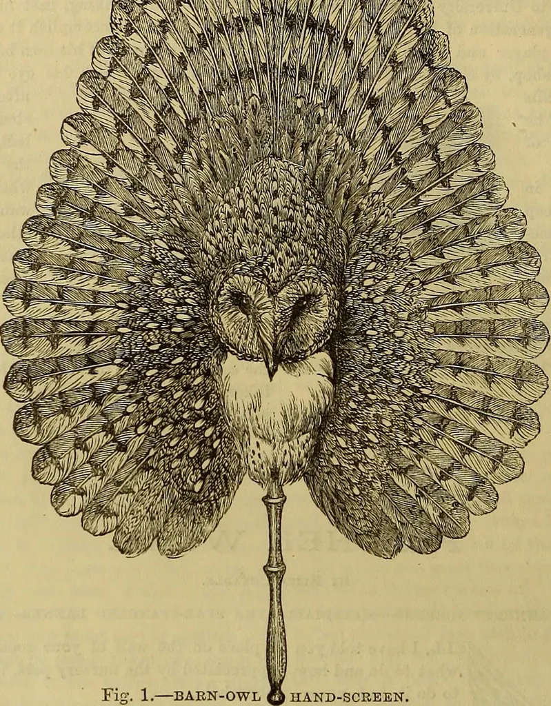 An illustration from The Popular recreator. A key to in-door and out-door amusements .., 1873, leaf 81
