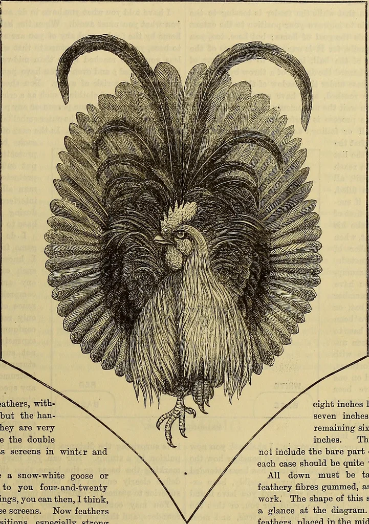 An illustration from The Popular recreator. A key to in-door and out-door amusements .., 1873, leaf 82