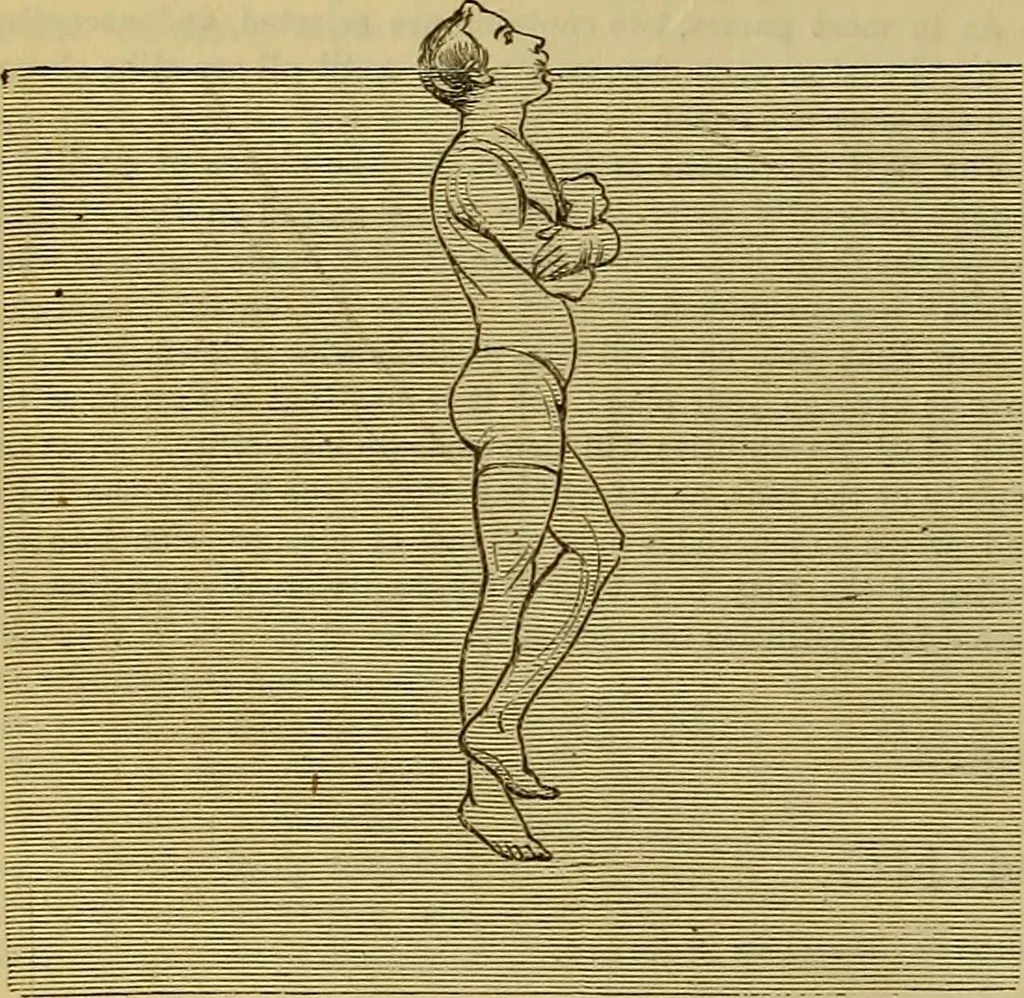 An illustration from The Popular recreator. A key to in-door and out-door amusements .., 1873, leaf 85