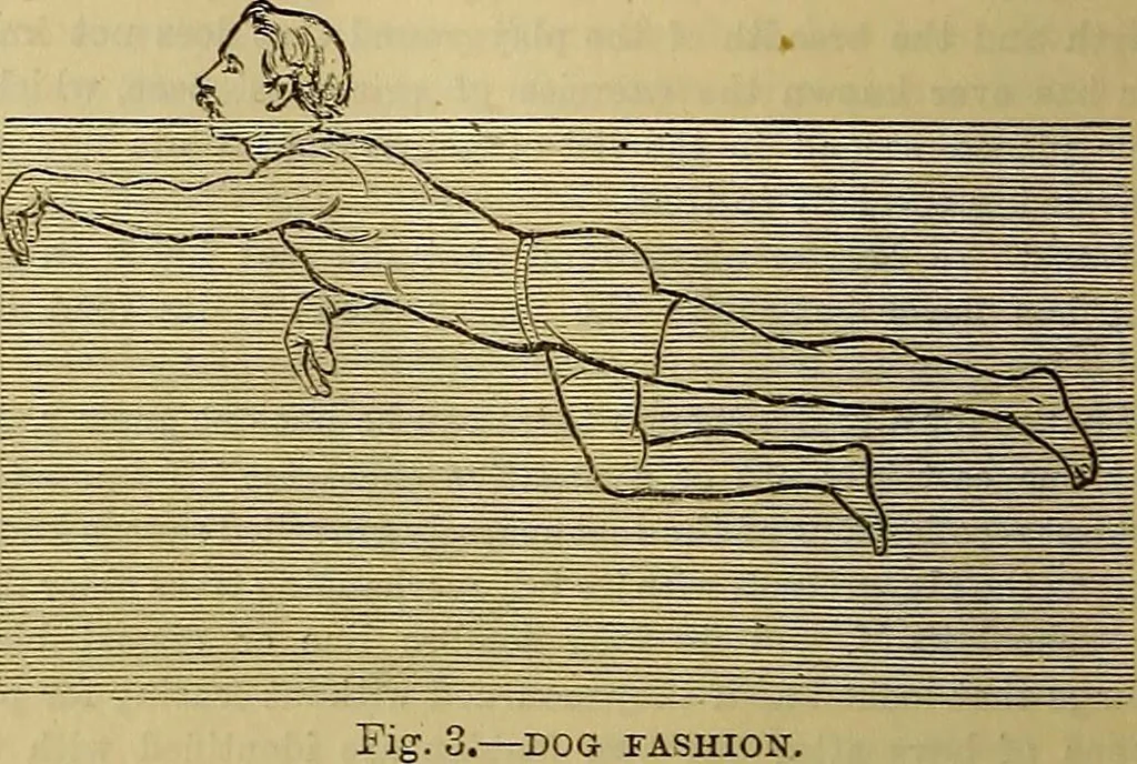 An illustration from The Popular recreator. A key to in-door and out-door amusements .., 1873, leaf 85