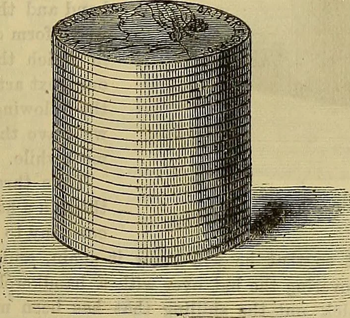 An illustration from The Popular recreator. A key to in-door and out-door amusements .., 1873, leaf 96