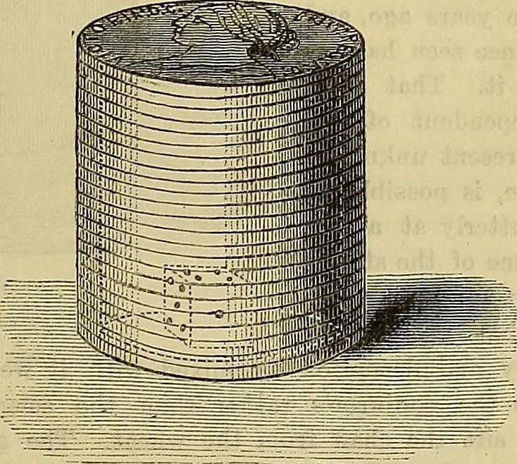 An illustration from The Popular recreator. A key to in-door and out-door amusements .., 1873, leaf 96