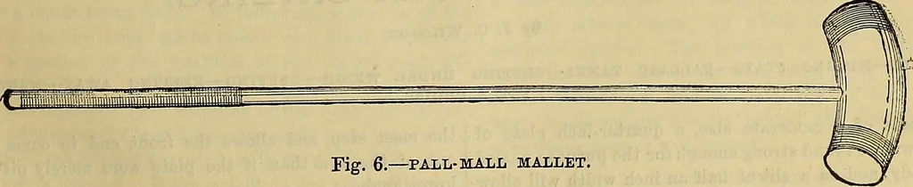 An illustration from The Popular recreator. A key to in-door and out-door amusements .., 1873, leaf 98