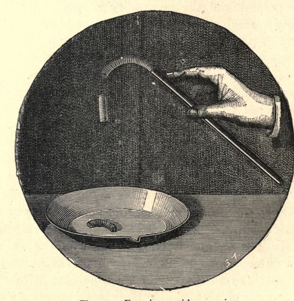 An illustration from Popular scientific recreations in natural philosophy, astronomy, geology, chemistry, 1883, leaf 330
