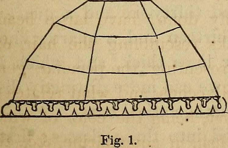 An illustration from A popular treatise on gems, in reference to their scientific value; a guide for the teacher of natural sciences, the jeweller, and amateur: together with a description of the elements of mineralogy, and all ornamental and architectural materials .., 1859, leaf 160