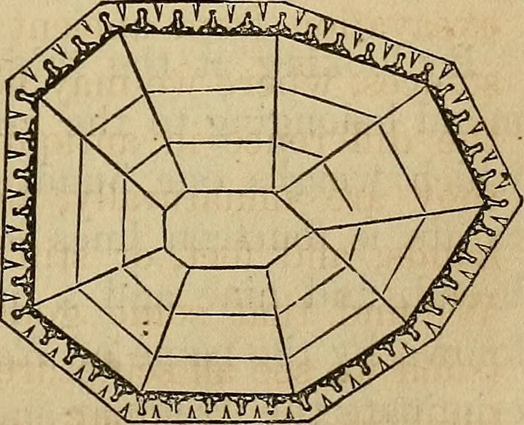 An illustration from A popular treatise on gems, in reference to their scientific value; a guide for the teacher of natural sciences, the jeweller, and amateur: together with a description of the elements of mineralogy, and all ornamental and architectural materials .., 1859, leaf 160