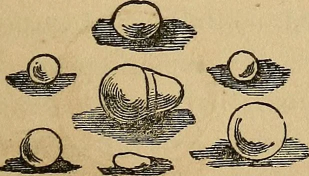 An illustration from A popular treatise on gems, in reference to their scientific value; a guide for the teacher of natural sciences, the jeweller, and amateur: together with a description of the elements of mineralogy, and all ornamental and architectural materials .., 1859, leaf 418
