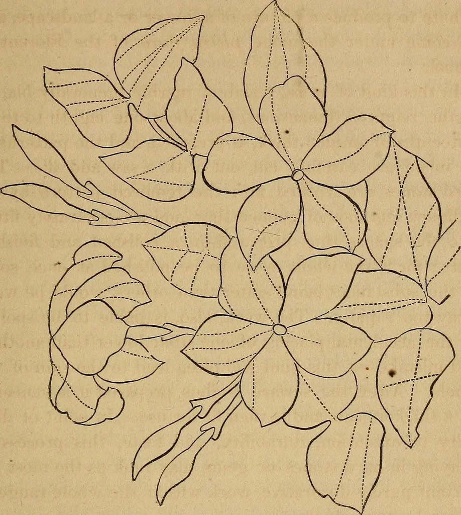 An illustration from A popular treatise on gems, in reference to their scientific value; a guide for the teacher of natural sciences, the jeweller, and amateur: together with a description of the elements of mineralogy, and all ornamental and architectural materials .., 1859, leaf 438