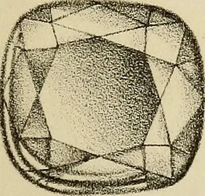 An illustration from A popular treatise on gems, in reference to their scientific value; a guide for the teacher of natural sciences, the jeweller, and amateur: together with a description of the elements of mineralogy, and all ornamental and architectural materials .., 1859, leaf 462