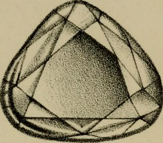 An illustration from A popular treatise on gems, in reference to their scientific value; a guide for the teacher of natural sciences, the jeweller, and amateur: together with a description of the elements of mineralogy, and all ornamental and architectural materials .., 1859, leaf 465