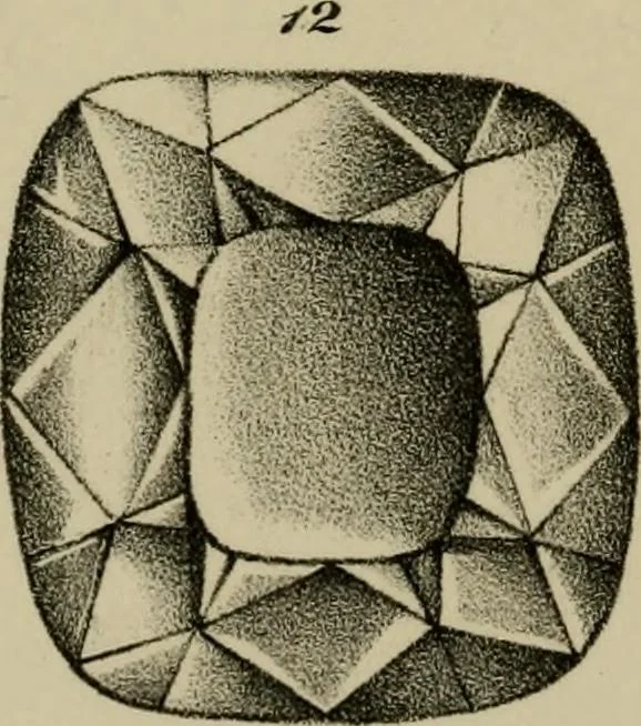 An illustration from A popular treatise on gems, in reference to their scientific value; a guide for the teacher of natural sciences, the jeweller, and amateur: together with a description of the elements of mineralogy, and all ornamental and architectural materials .., 1859, leaf 465