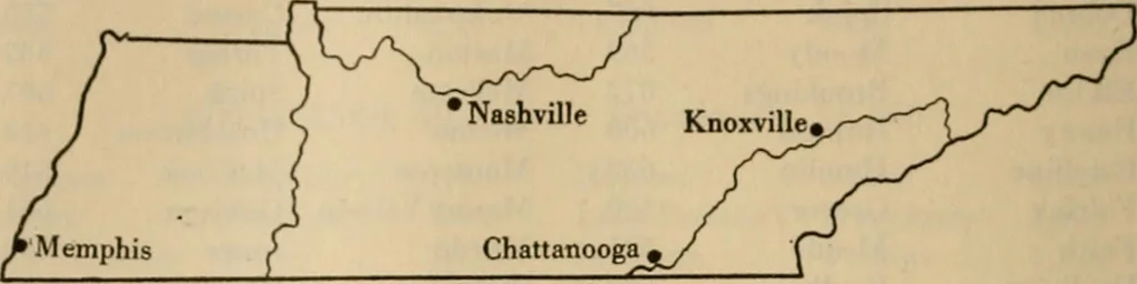 An illustration from Population and its distribution, comp. from the figures of 1920 United States census, including distribution of retail and wholesale dealers, 1921, leaf 259