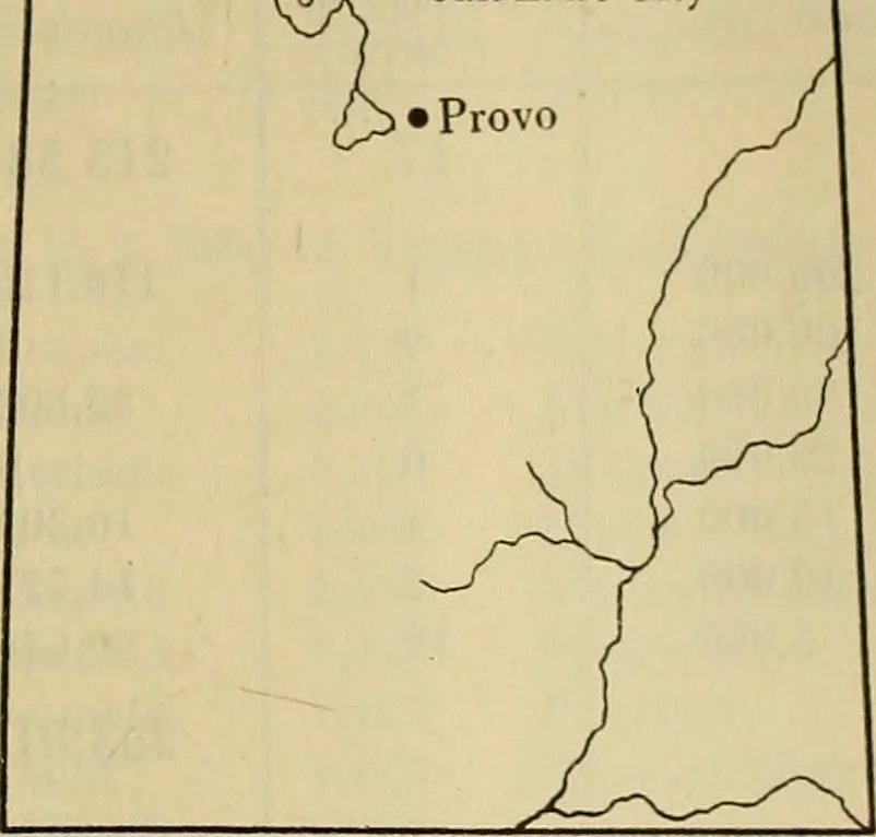 An illustration from Population and its distribution, comp. from the figures of 1920 United States census, including distribution of retail and wholesale dealers, 1921, leaf 272