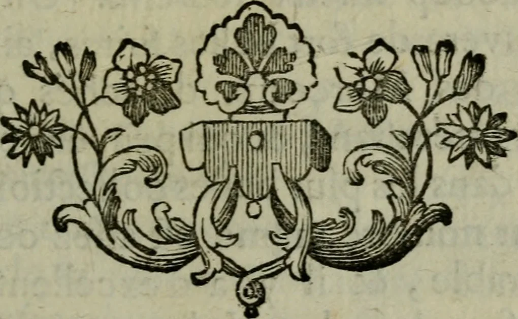 An illustration from Catalogue raisonné des bijoux, porcelaines, bronzes, lacqs, lustres de cristal de roche et de porcelaine : pendules de goût & autres meubles curieux ou composés : tableaux, desseins, estampes, coquilles & autres effets de curtiosité, provenans de la succession de M. Angran, vicomte de Fonspertuis, 1747, leaf 278