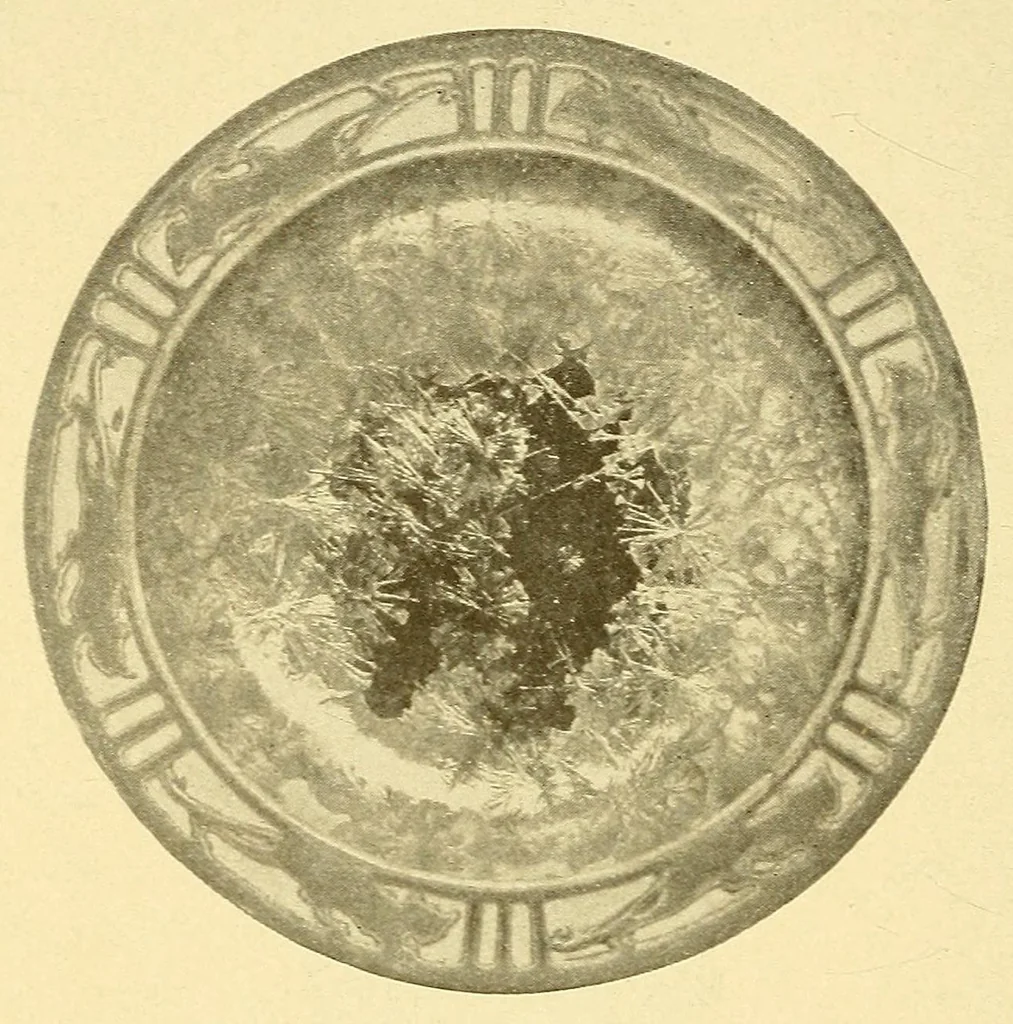 An illustration from Porcelains from the Robineau Pottery, 1906, leaf 24