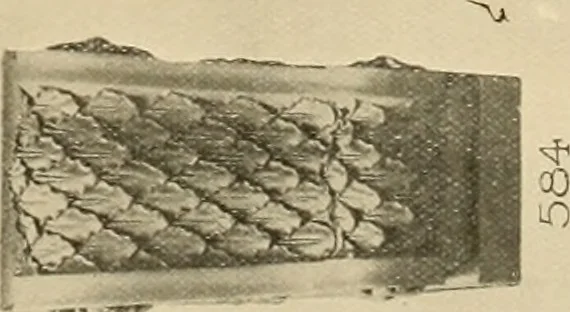 An illustration from [Port-folio], 1898, leaf 34