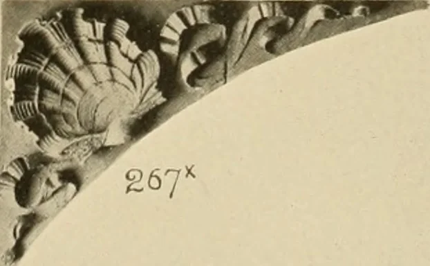 An illustration from [Port-folio], 1898, leaf 42