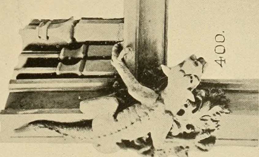 An illustration from [Port-folio], 1898, leaf 76