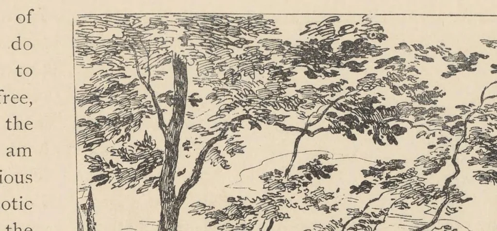 An illustration from The portfolio : an artistic periodical, 1870, leaf 17