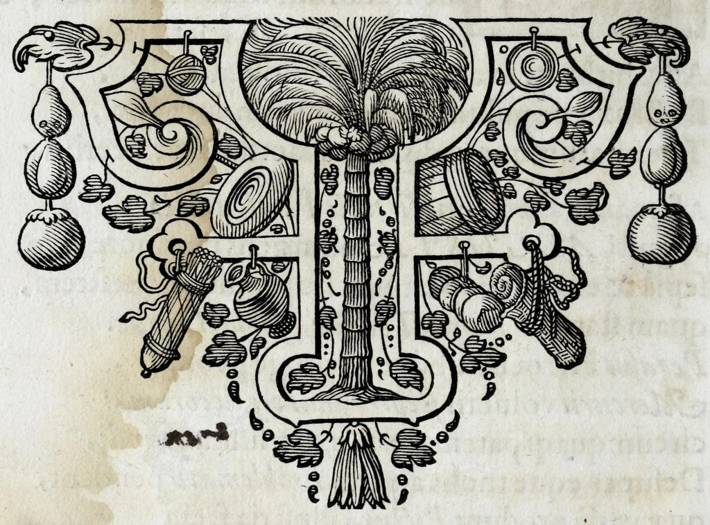 An illustration from Porticus Serenissimo atque Celsissimo Principi, ac Domino, Domino Augusto, Brunsvvicensium atque Luneburgensium Duci potentissimo, Principum eruditissimo, Domino Clementissimo &c. sacra, 1646, leaf 12